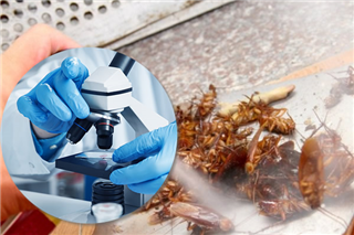 Image GIỚI THIỆU VỀ HOẠT ĐỘNG THỬ NGHIỆM CHẾ PHẨM  SÁT KHUẨN/DIỆT KHUẨN