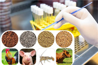 Image Kiểm nghiệm thức ăn chăn nuôi
