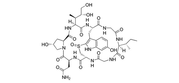 Hình 2. Độc tố alpha-amanitin thuộc nhóm amatoxin có mặt trong mẫu nấm độc
