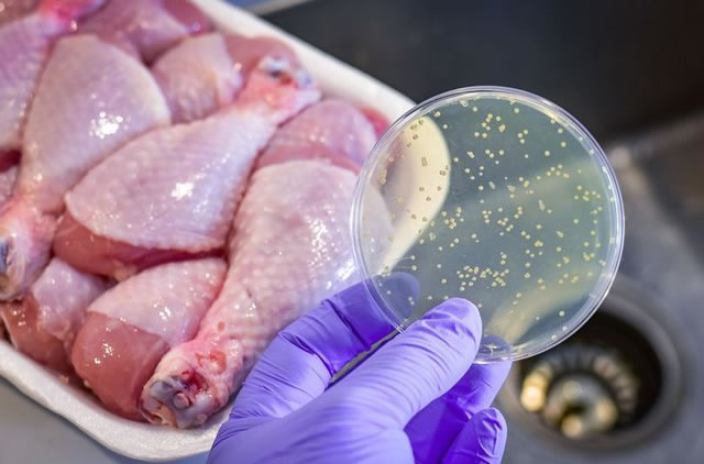 Thực phẩm nào có thể nhiễm khuẩn Salmonella - nguyên nhân được hướng đến trong vụ ngộ độc tại trường iSchool Nha Trang? - Ảnh 3