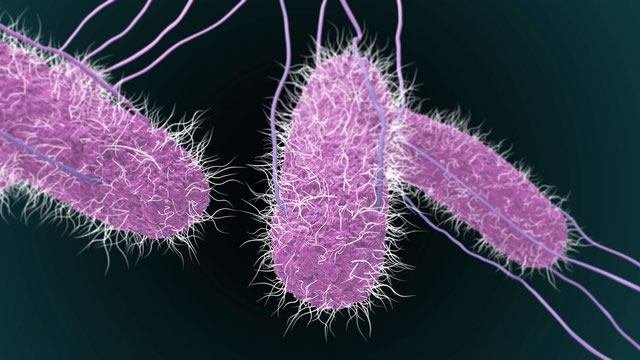Mùa nồm kéo dài, cảnh giác với vi khuẩn 'giấu mặt' gây ngộ độc từ thói quen ăn uống của nhiều người - Ảnh 4