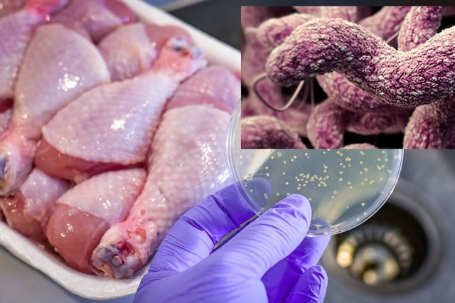Rửa sạch và nấu chín thịt gà chưa đủ để phòng nguy cơ ngộ độc, cần lưu ý thêm các bước này