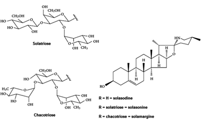Some-typical-toxic-alkaloids-of-solanum-viarum-dunal