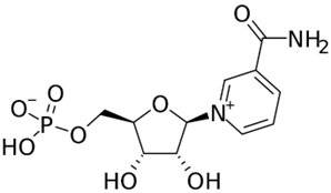 formula-structure-of-nmn