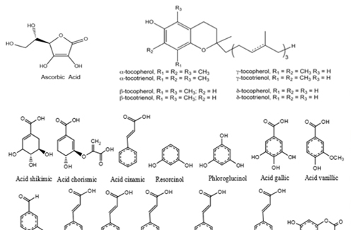 Antioxidants in foods