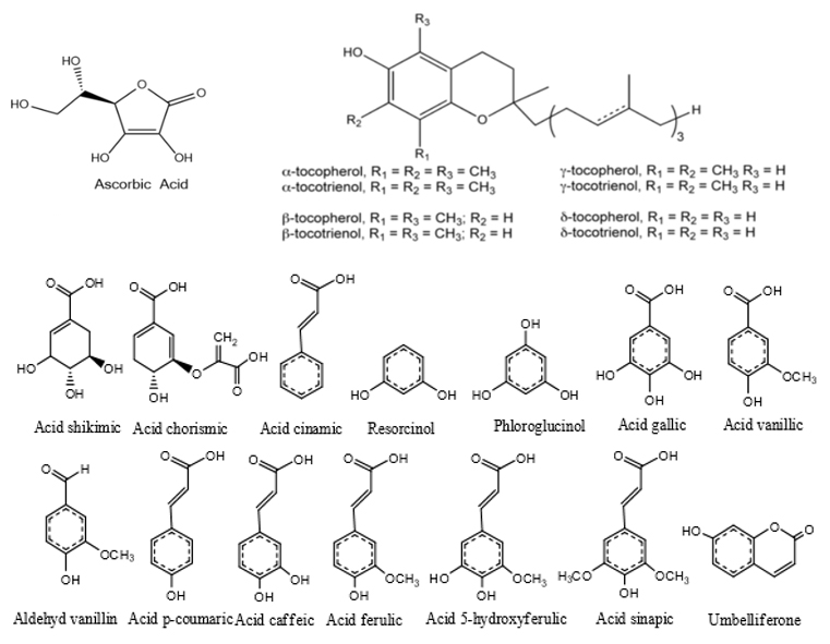 Structure-of-some-natural-antioxidants