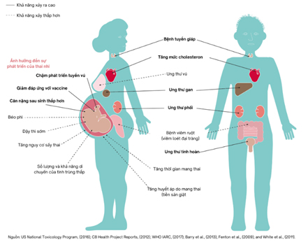 nhung-anh-huong-cua-nhom-chat-pfas-doi-voi-con-nguoi