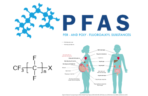 “Hóa chất vĩnh cửu” – PFAS –mối lo ngại liên quan đến căn bệnh ung thư, gây rối loạn chức năng nội tiết tố