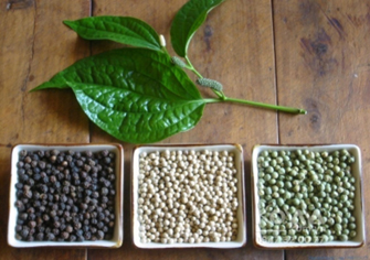 some-types-of-peppercorns-based-on-processing-method