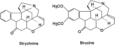 typical-toxic-alkaloid-of-strychnos-nux-vomica-seeds