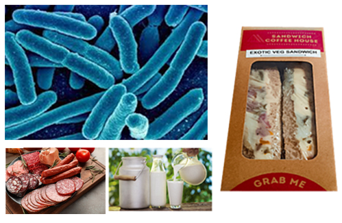 Vi sinh vật gây bệnh trong thực phẩm Listeria monocytogenes