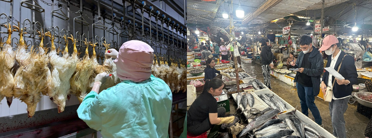 A person in a factory looking at chickens from hooksDescription automatically generated