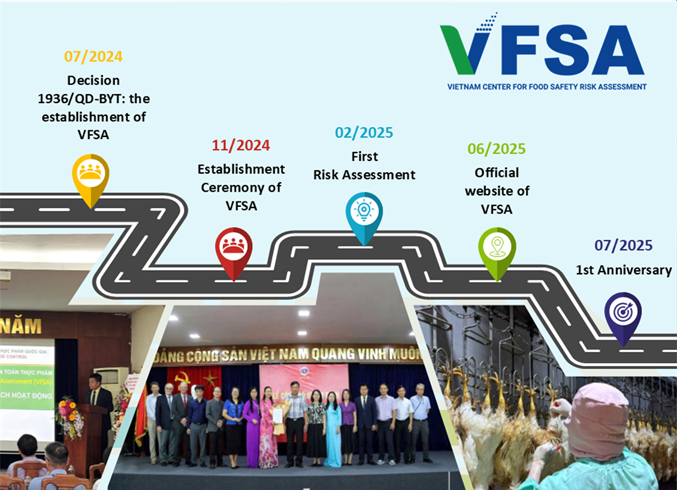 vfsa-first-year-of-operation