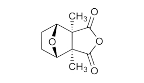Cantharidin-toxins-secreted-by-blister-beetles