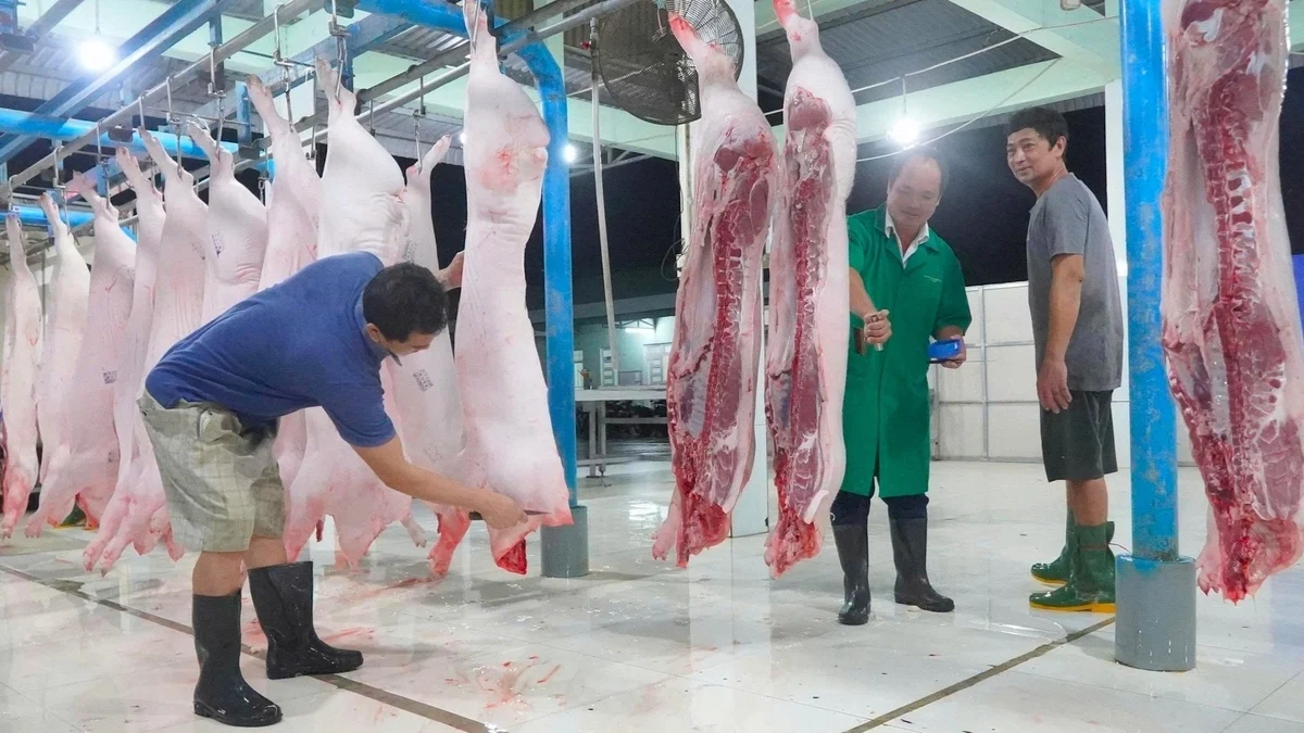 can-tho-tang-cuong-kiem-soat-giet-mo-siet-chat-an-toan-thuc-pham-074821_600-091453-110030_151