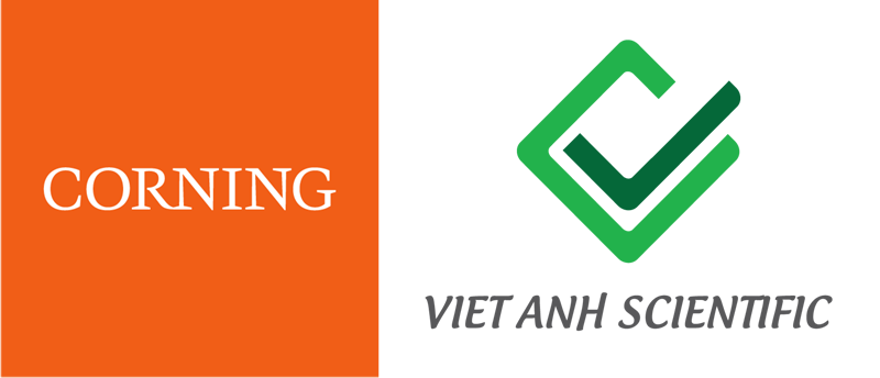VietAnh